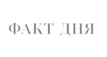 Стартовал полуфинал Чемпионата Мира по русскому языку