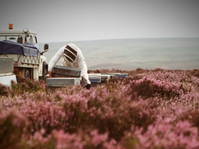 Эрдоган объявил о подписании соглашения между Турцией и Великобританией в сфере обороны